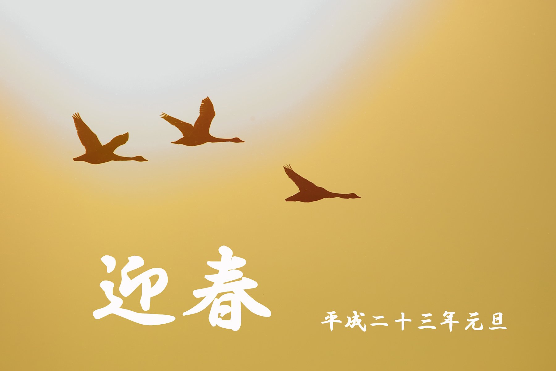 あけましておめでとうございます