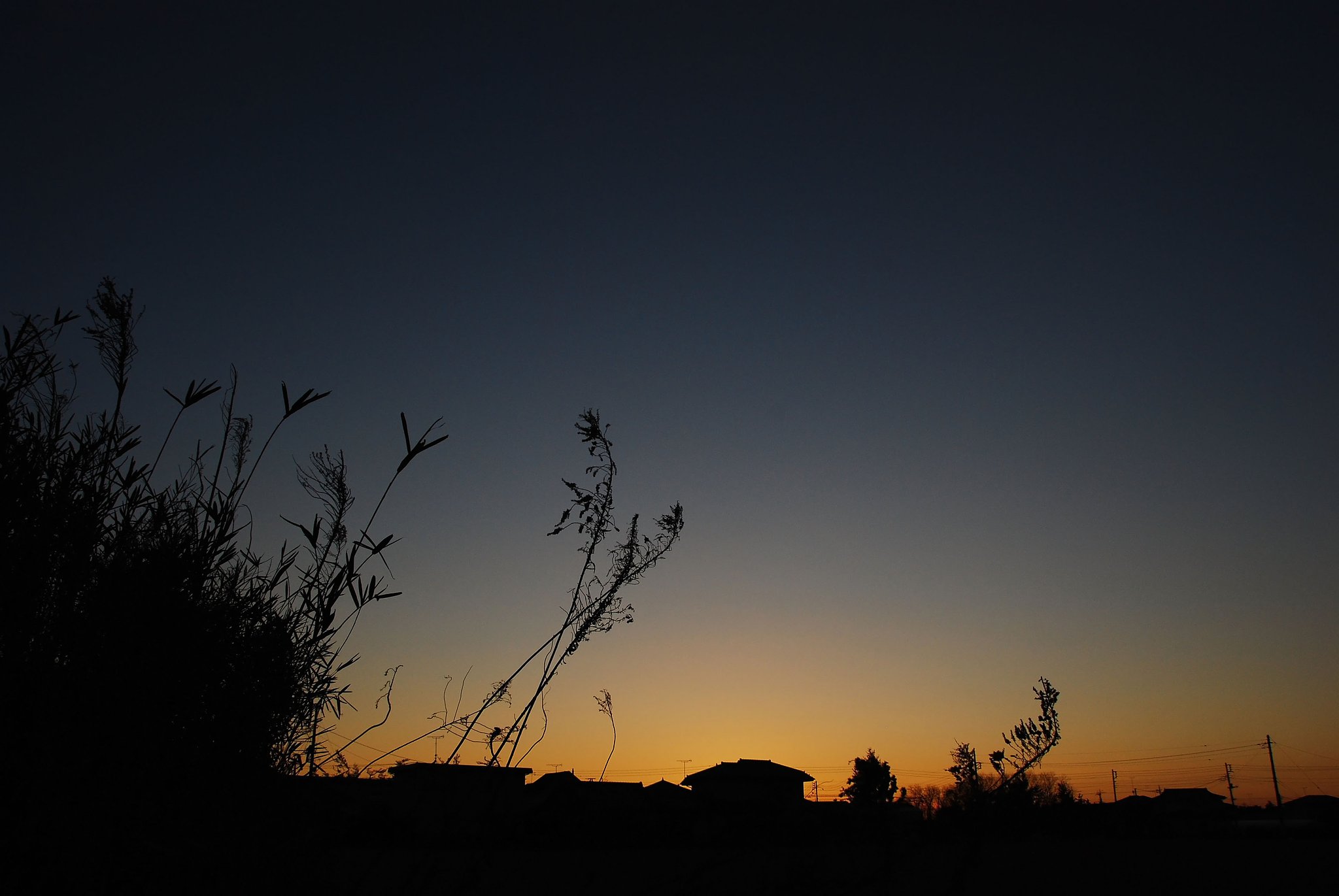 正月の夕暮