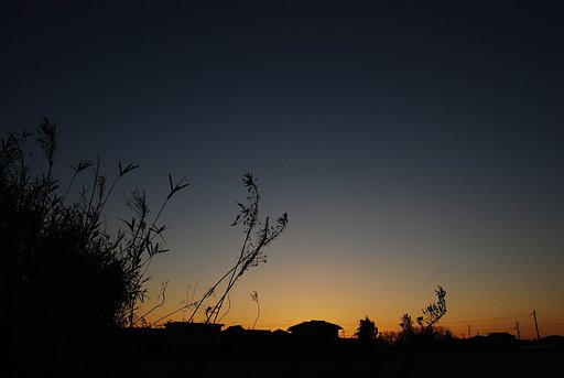 正月の夕暮