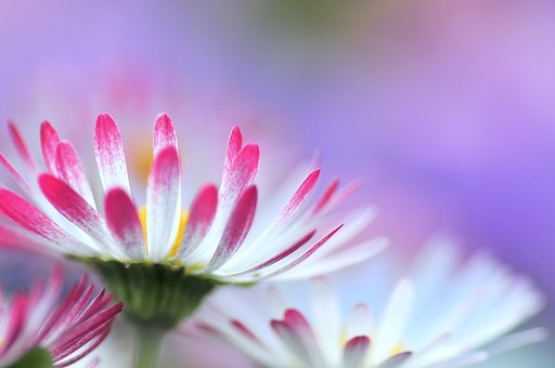 【この色、好き！】背景のボケが