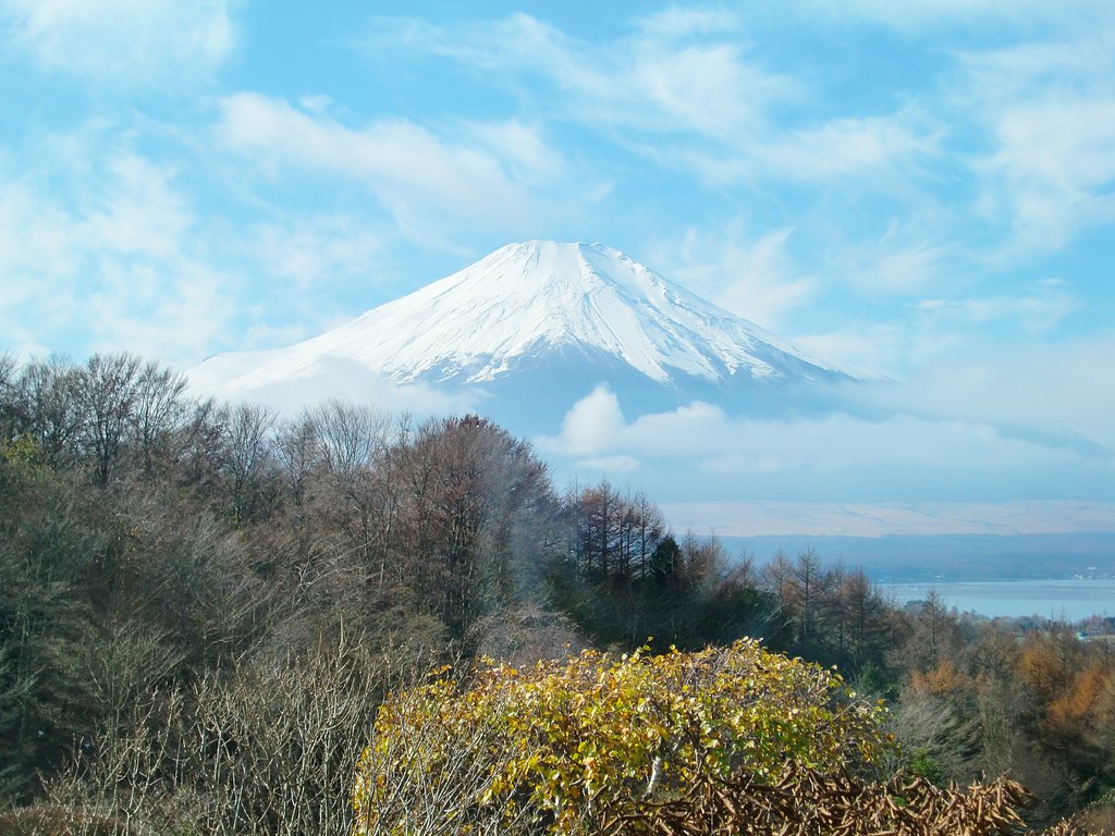 富士山