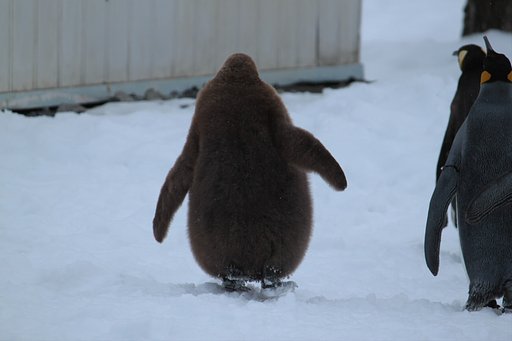 後ろ姿