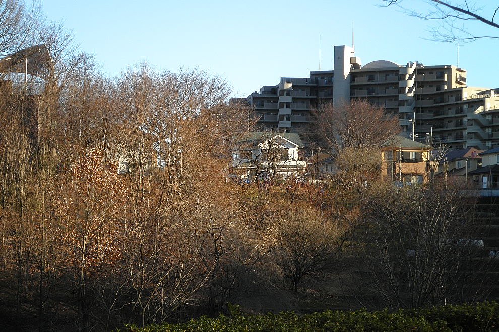 公園から見える風景