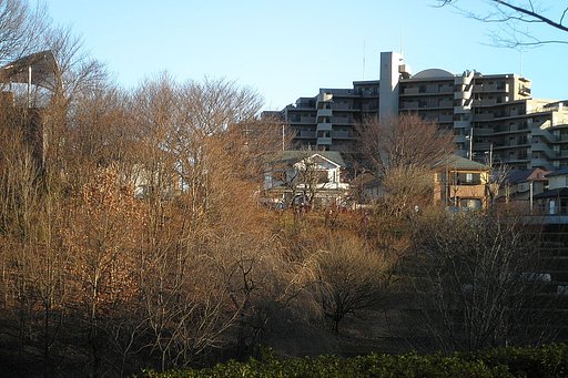 公園から見える風景
