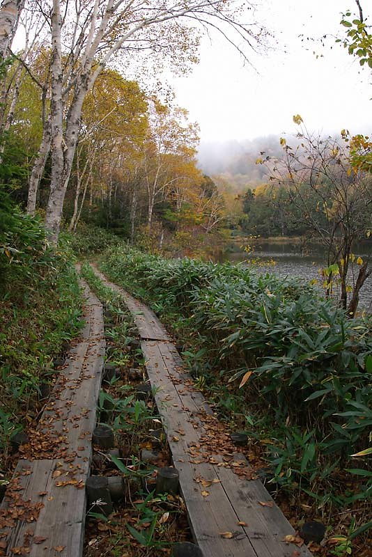 紅葉の散歩道