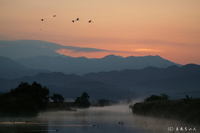夜明け前