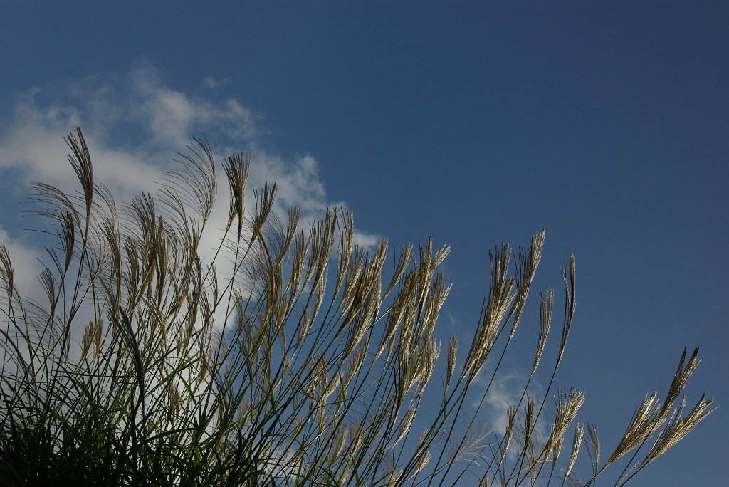 空続きということで・・・