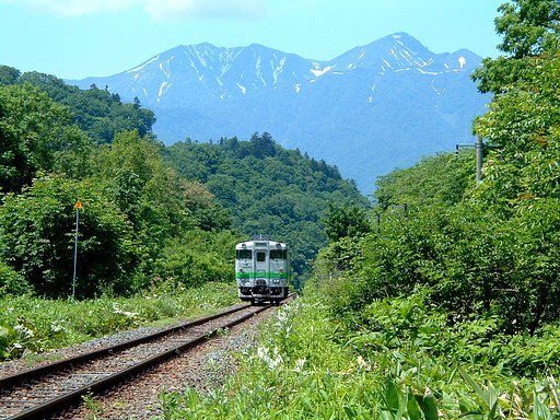 若葉の旅路