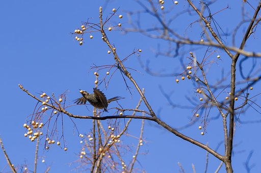 1月18日の写真