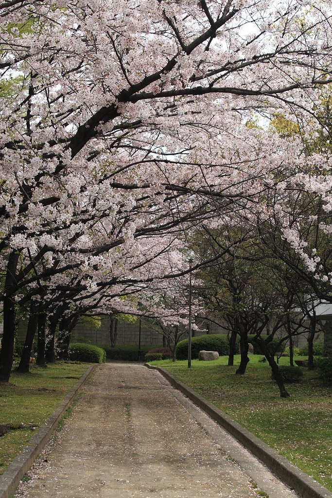 これぞ男の花道言うことなし・2011