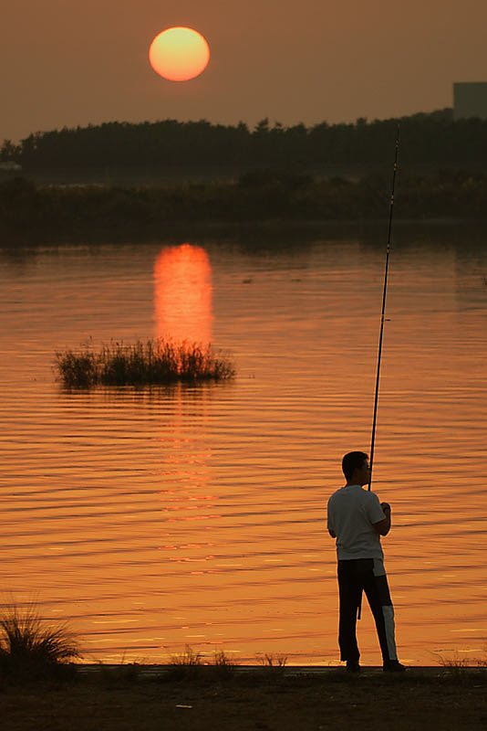 昨日の夕日