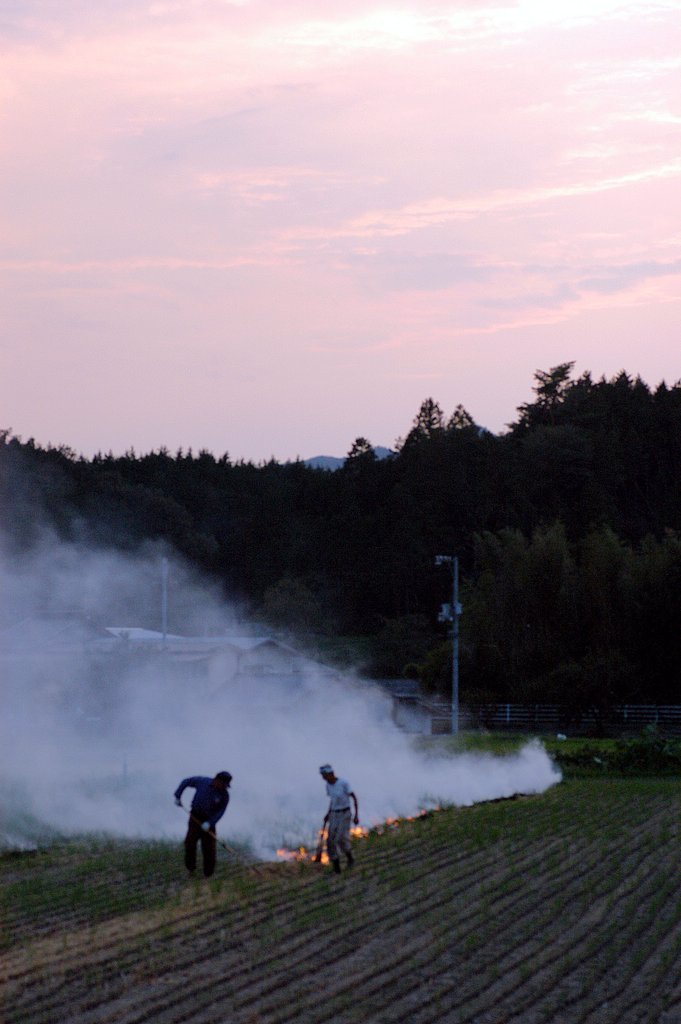 夕暮れ