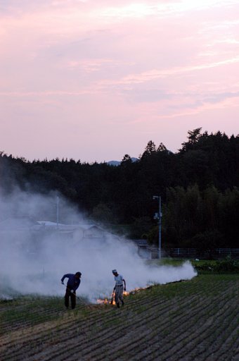 夕暮れ