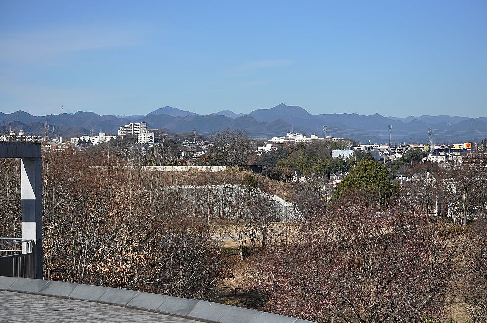 公園から見える風景