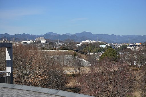 公園から見える風景