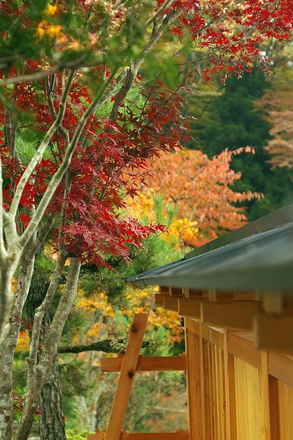 榛名神社出てすぐ（4367：レタッチ）