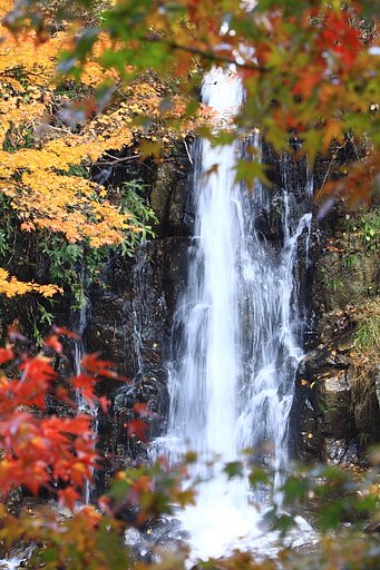 大井平の滝