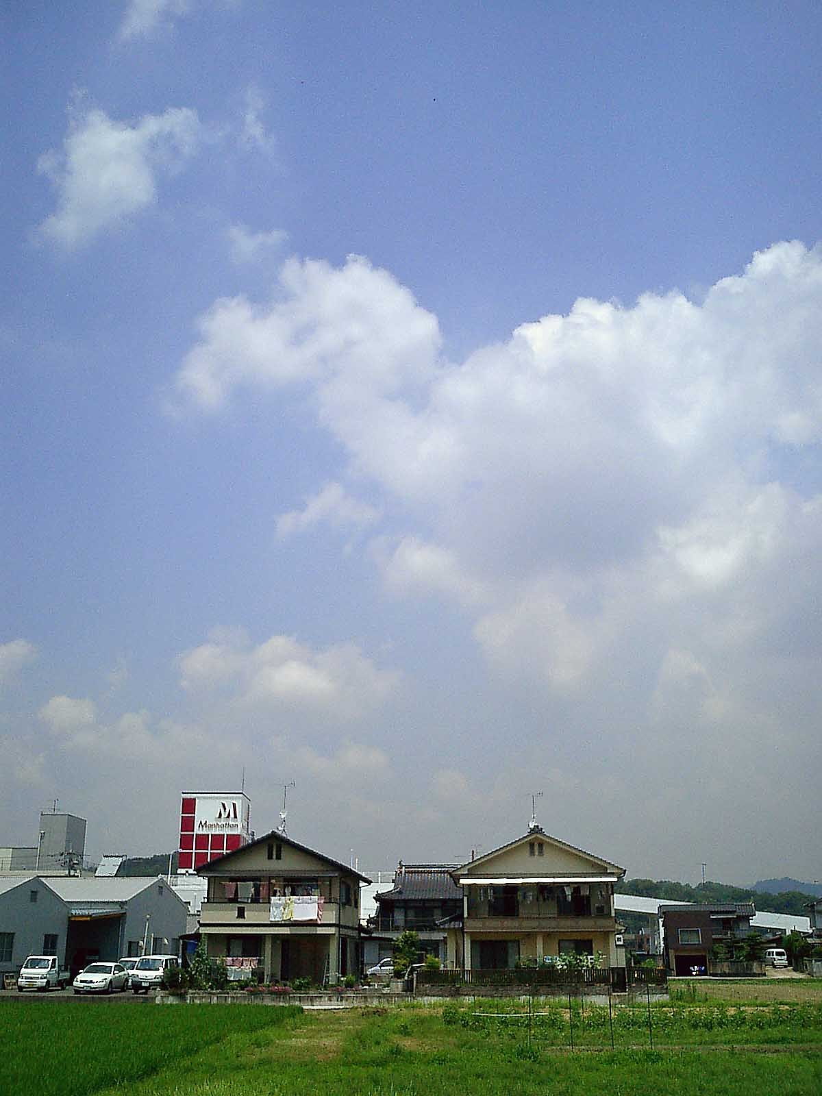 夏雲沸く