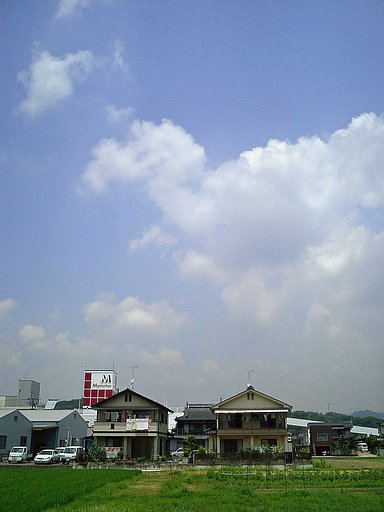夏雲沸く