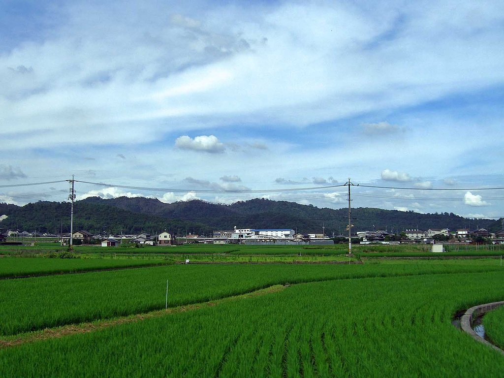 田園風景