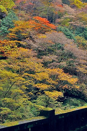 そうだ、京都へいこう・・・には見えないかな？その２（4394のレタッチ）