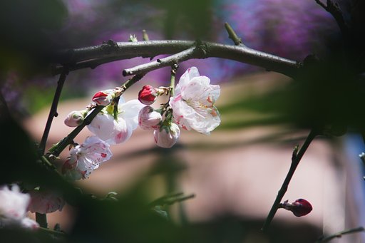 Vivitar 75-205mmF3.8 Close Focusing Auto Zoom