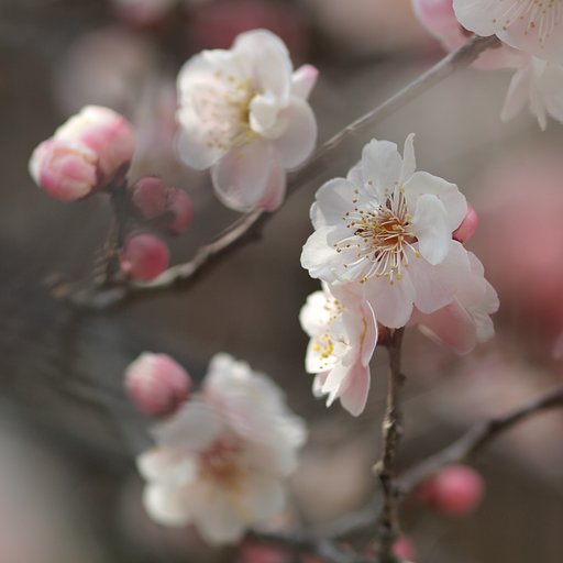 ３月の結果発表です。