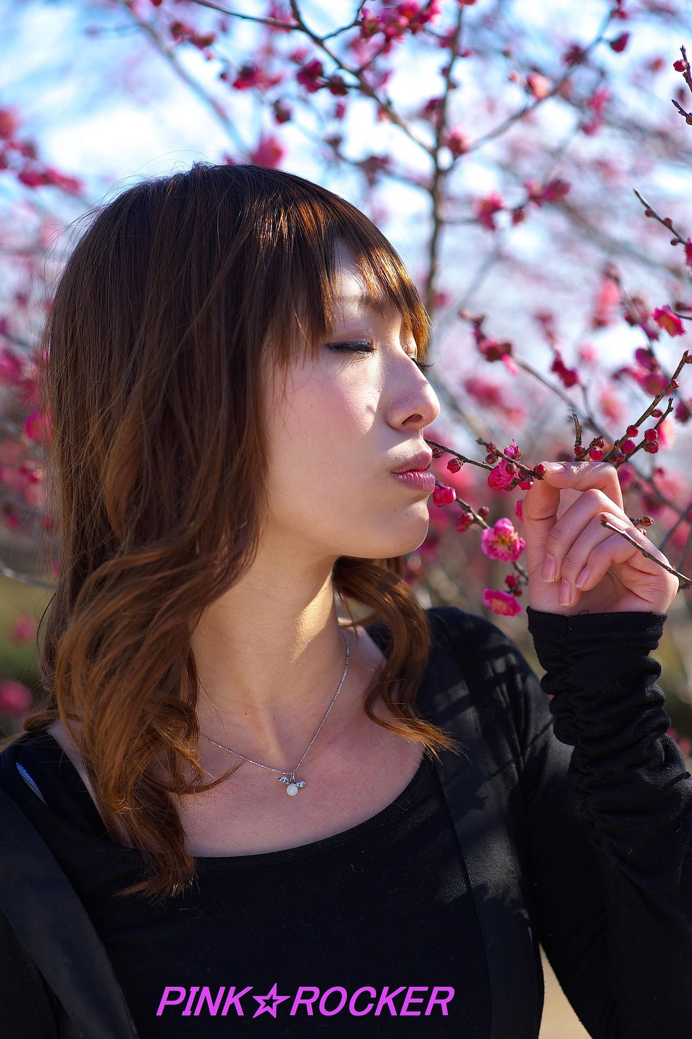 梅の香り・・・