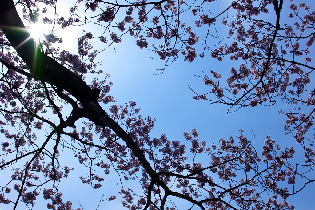 青空