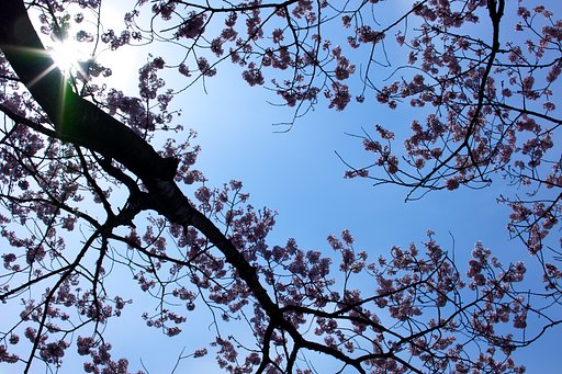 青空