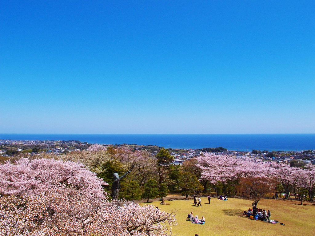 水平線・・・