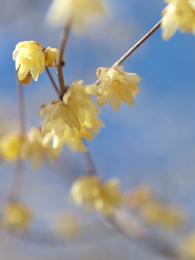 春の目印2