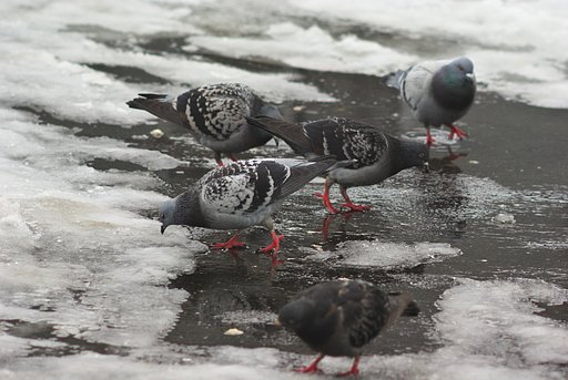 つまらないものですが・・