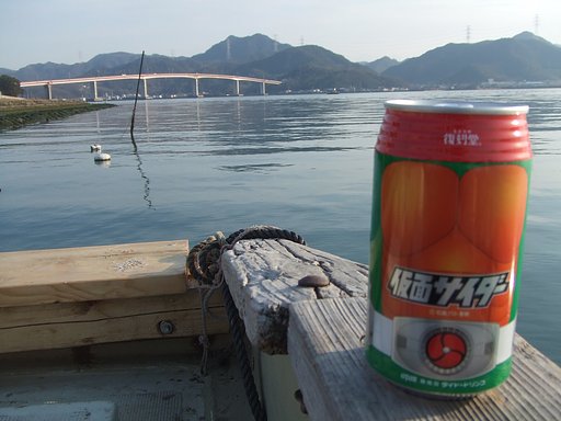 河口