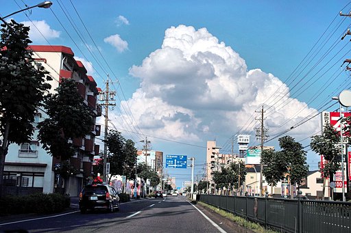 【睦】　ボクのいる町（にわ）