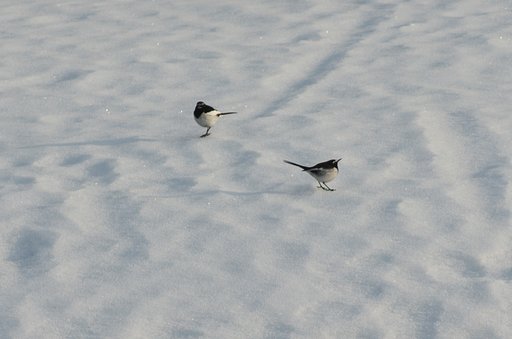 上を向いて、歩こう・・