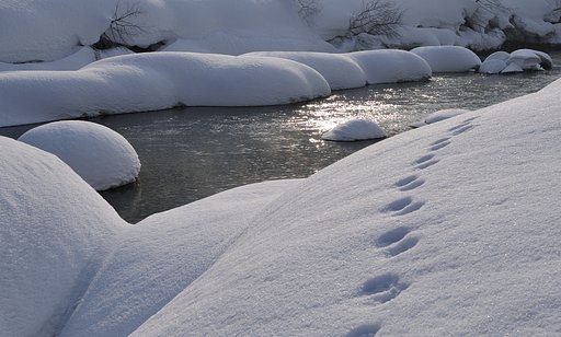 冬の川辺