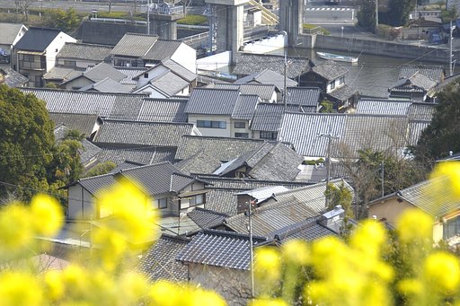 春の甍