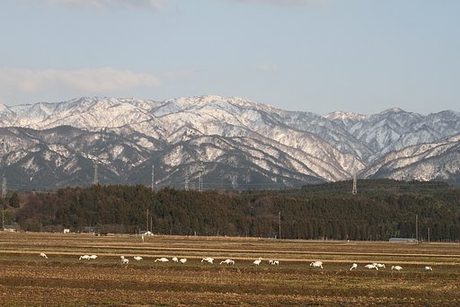 いい加減帰ったら？