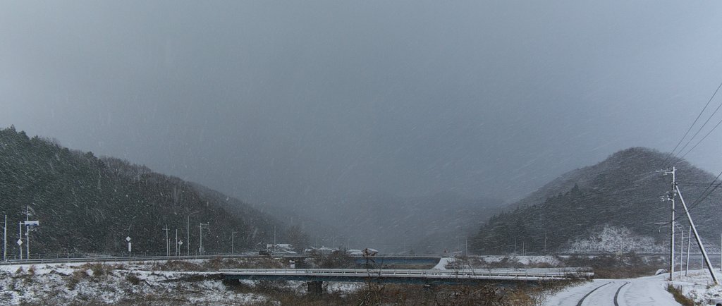 吹雪いてます。
