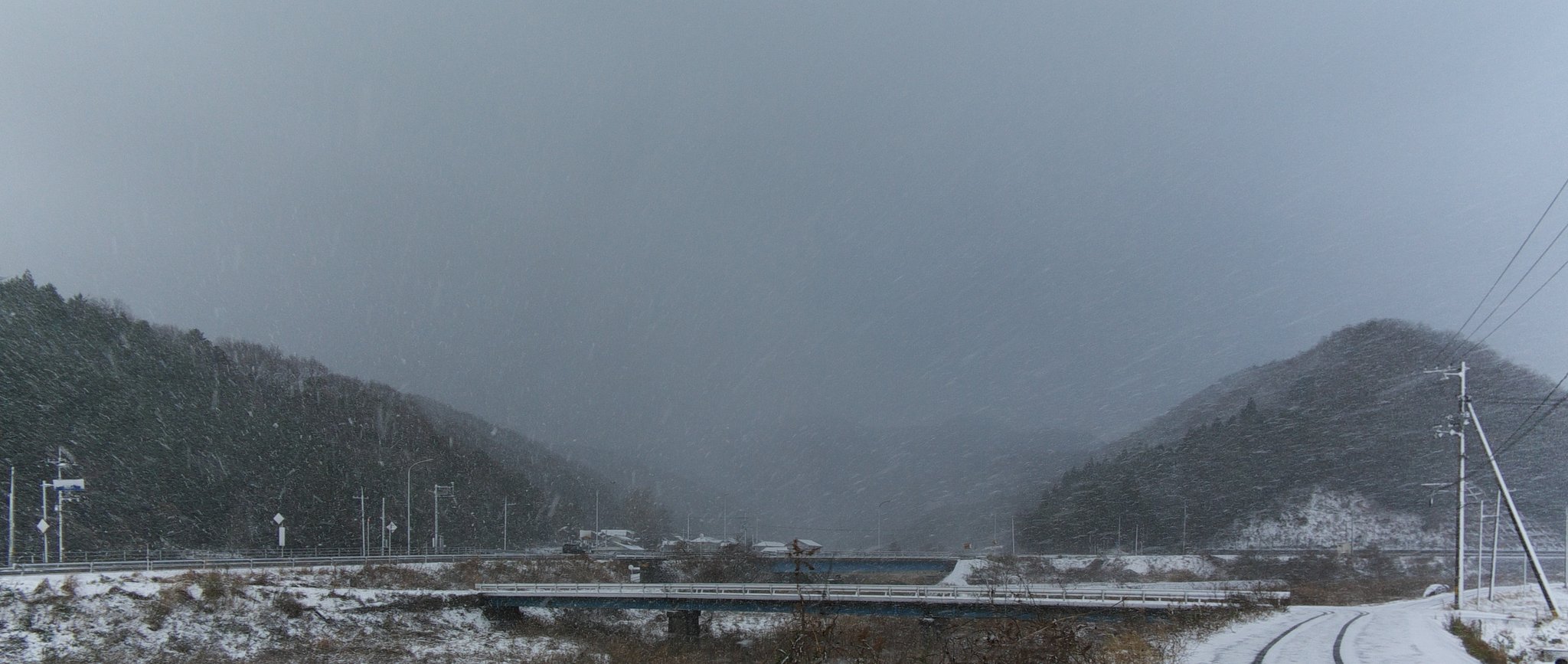 吹雪いてます。