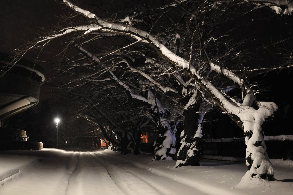 大雪