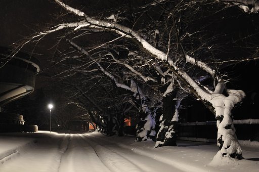 大雪