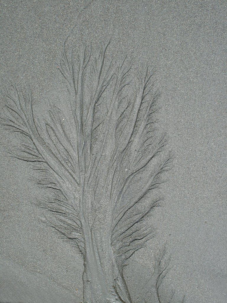 [縦撮り]砂のアート