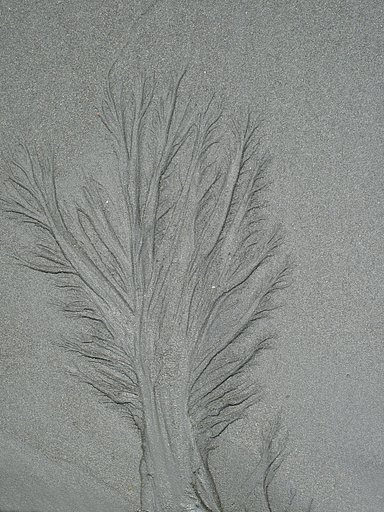 [縦撮り]砂のアート