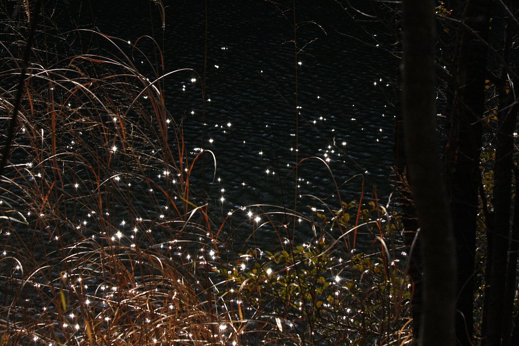 水面の星空
