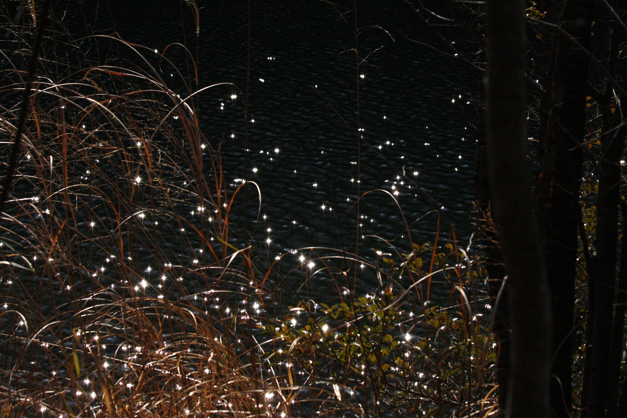 水面の星空