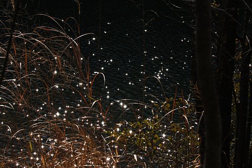水面の星空
