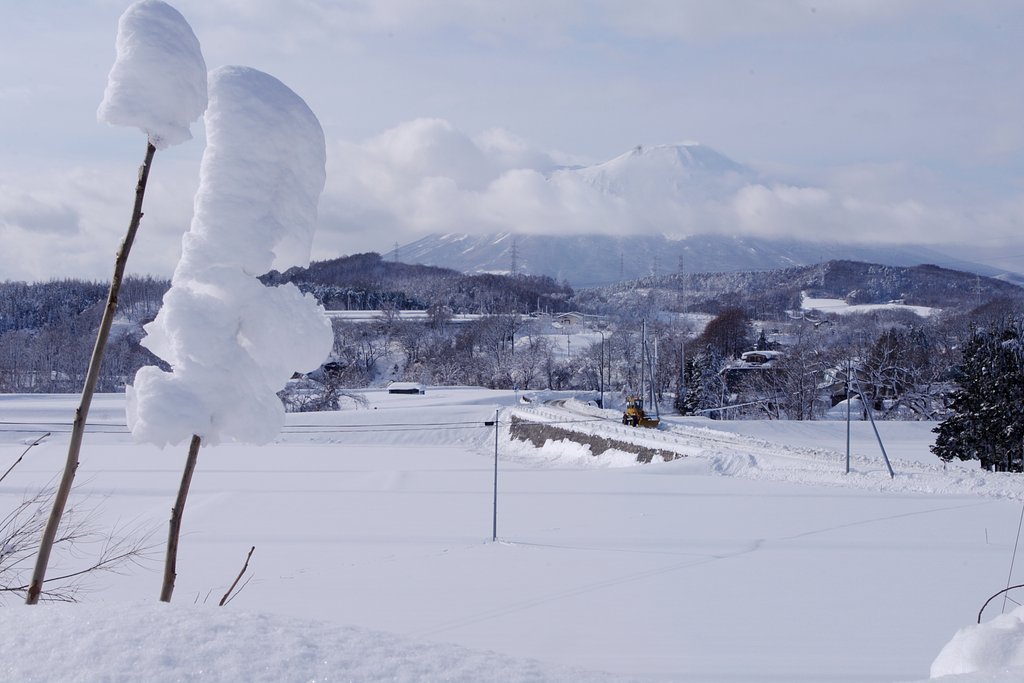 雪の華