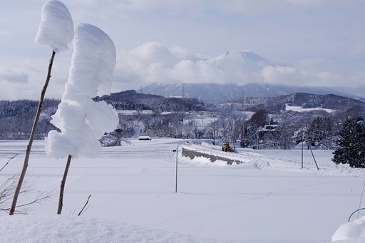 雪の華